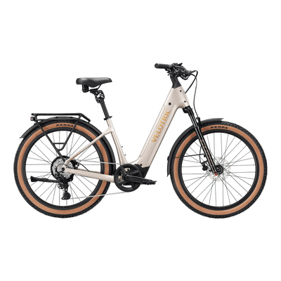 Velotric Discover Mid-Drive L Platinum Sliver