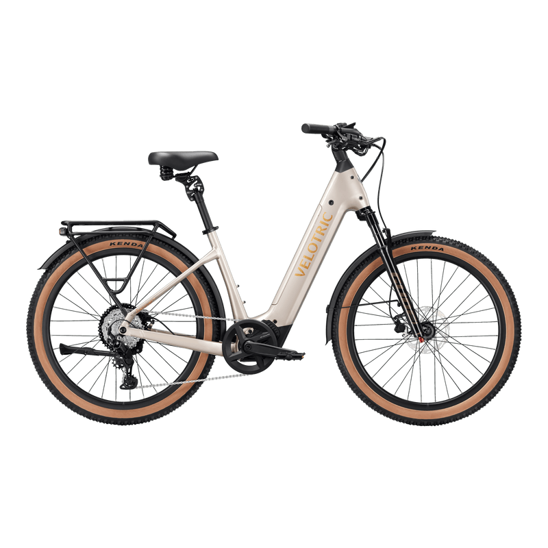 Velotric Discover Mid-Drive L Platinum Sliver – E-Cruiser